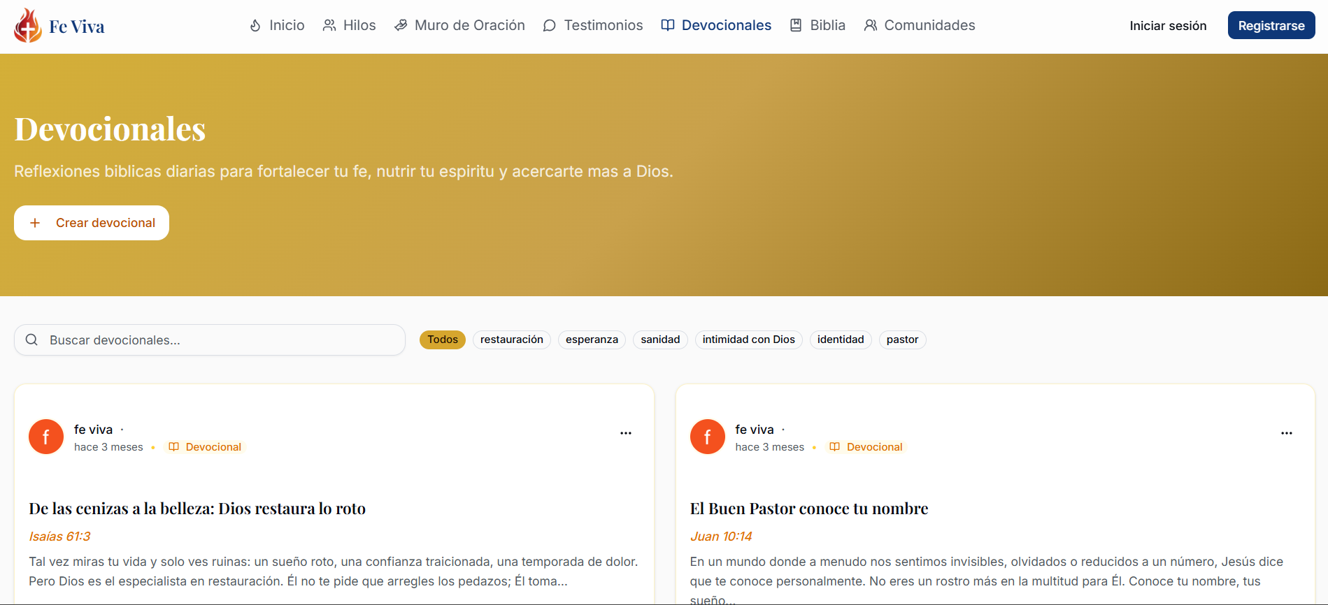 FE VIVA visual 8